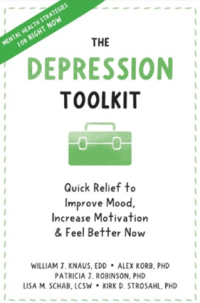 Image of THE SEPRESSION TOOLKIT